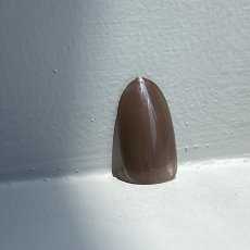 画像2: PRESTO カラージェル 395　2.7g/10g［メール便OK］ (2)