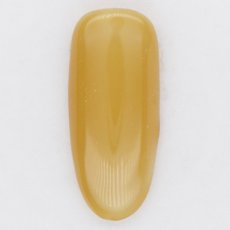 画像2: PRESTO カラージェル 359　2.7g/10g［メール便OK］ (2)