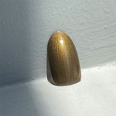 画像2: PRESTO カラージェル 401　2.7g/10g［メール便OK］ (2)