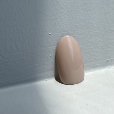 画像2: PRESTO カラージェル 393　2.7g/10g［メール便OK］ (2)