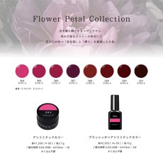 画像5: PRESTO アンリミテッドカラー 389　2.7g/10g［メール便OK］ (5)