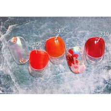 画像3: PRESTO カラージェル 317　2.7g/10g［メール便OK］ (3)