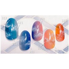 画像5: PRESTO カラージェル 313　2.7g/10g［メール便OK］ (5)