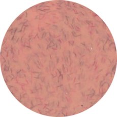 画像1: PRESTO カラージェル 329　2.7g/10g［メール便OK］ (1)