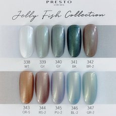 画像3: PRESTO カラージェル 347　2.7g/10g［メール便OK］ (3)