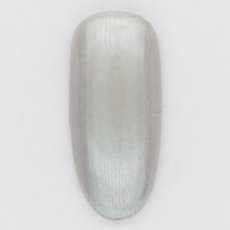 画像2: PRESTO カラージェル 339　2.7g/10g［メール便OK］ (2)