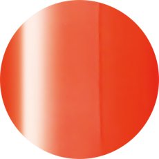 画像1: PRESTO カラージェル 317　2.7g/10g［メール便OK］ (1)