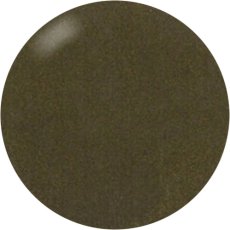 画像1: PRESTO カラージェル 401　2.7g/10g［メール便OK］ (1)