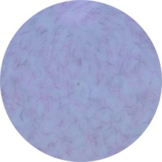 画像1: PRESTO カラージェル 325　2.7g/10g［メール便OK］ (1)