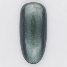 画像2: PRESTO カラージェル 341　2.7g/10g［メール便OK］ (2)