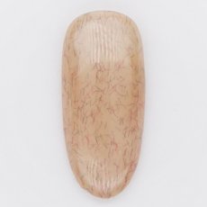 画像2: PRESTO カラージェル 334　2.7g/10g［メール便OK］ (2)