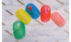 画像4: PRESTO カラージェル 309　2.7g/10g［メール便OK］ (4)