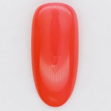 画像2: PRESTO カラージェル 309　2.7g/10g［メール便OK］ (2)