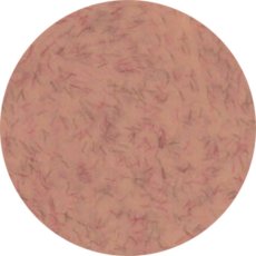 画像1: PRESTO カラージェル 335　2.7g/10g［メール便OK］ (1)