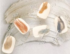 画像4: PRESTO カラージェル 270　2.7g/10g［メール便OK］ (4)