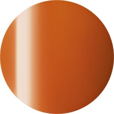 画像1: PRESTO カラージェル 241　2.7g/10g［メール便OK］ (1)