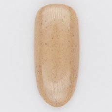 画像2: PRESTO カラージェル 262　2.7g/10g［メール便OK］ (2)