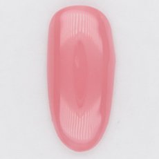 画像2: PRESTO カラージェル 248　2.7g/10g［メール便OK］ (2)