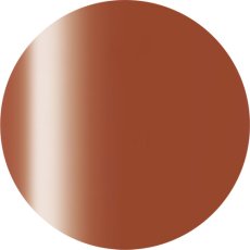 画像1: PRESTO カラージェル 238　2.7g/10g［メール便OK］ (1)