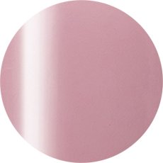 画像1: PRESTO カラージェル 250　2.7g/10g［メール便OK］ (1)