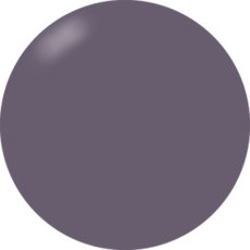 画像1: PRESTO カラージェル 237　2.7g/10g［メール便OK］ (1)