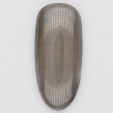 画像2: PRESTO カラージェル 158　2.7g/10g［メール便OK］ (2)