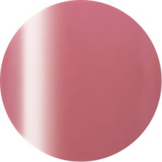 画像1: PRESTO カラージェル 254　2.7g/10g［メール便OK］ (1)