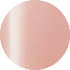 画像1: PRESTO カラージェル 244　2.7g/10g［メール便OK］ (1)