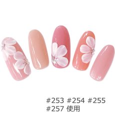 画像3: PRESTO カラージェル 253　2.7g/10g［メール便OK］ (3)