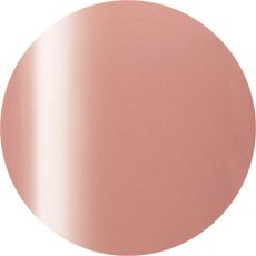 画像1: PRESTO カラージェル 253　2.7g/10g［メール便OK］ (1)