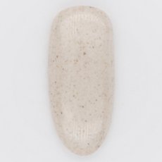 画像2: PRESTO カラージェル 259　2.7g/10g［メール便OK］ (2)