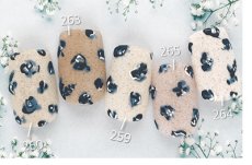 画像3: PRESTO カラージェル 259　2.7g/10g［メール便OK］ (3)