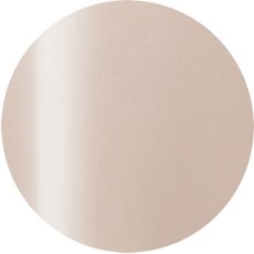 画像1: PRESTO カラージェル 245　2.7g/10g［メール便OK］ (1)