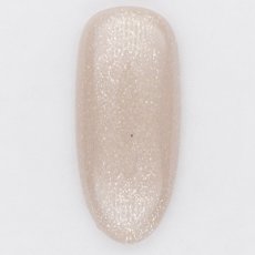 画像2: PRESTO カラージェル 283　2.7g/10g［メール便OK］ (2)