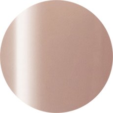 画像1: PRESTO カラージェル 252　2.7g/10g［メール便OK］ (1)