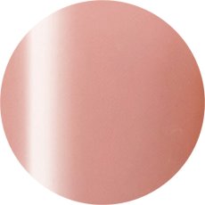 画像1: PRESTO カラージェル 251　2.7g/10g［メール便OK］ (1)