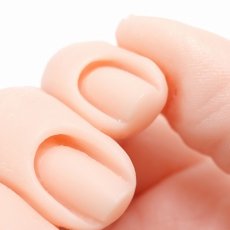 画像4: SARURU ディスプレイ用リアルハンド 右手/左手 (4)