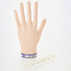 画像5: STモデルハンド セット / 単品 右手・左手（JNEC 第1期認定モデルハンド） (5)