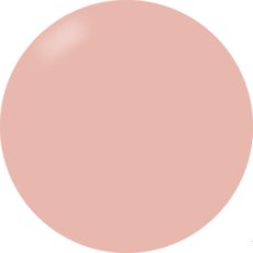 画像1: PRESTO カラージェル  061　2.7g/10g［メール便OK］ (1)