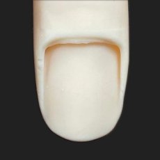 画像2: STモデルハンド セット / 単品 右手・左手（JNEC 第1期認定モデルハンド） (2)