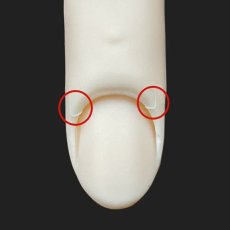 画像3: STモデルハンド セット / 単品 右手・左手（JNEC 第1期認定モデルハンド） (3)