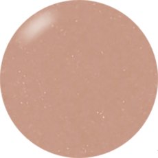 画像1: PRESTO カラージェル  107　2.7g/10g［メール便OK］ (1)