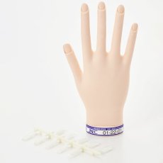 画像4: STモデルハンド セット / 単品 右手・左手（JNEC 第1期認定モデルハンド） (4)