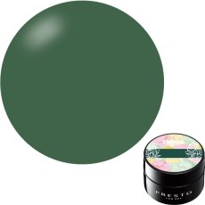 画像12: PRESTO アンリミテッドカラー TN001-TN006　2.7g［メール便OK］ (12)