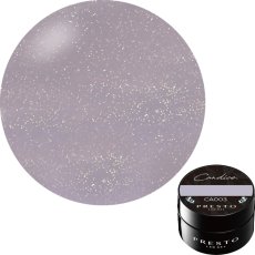 画像9: PRESTO アンリミテッドカラー CA001-CA006　2.7g［メール便OK］ (9)