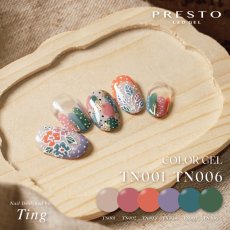 画像5: PRESTO アンリミテッドカラー TN001-TN006　2.7g［メール便OK］ (5)