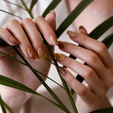 画像4: PRESTO アンリミテッドカラー EL001-EL006　2.7g［メール便OK］ (4)