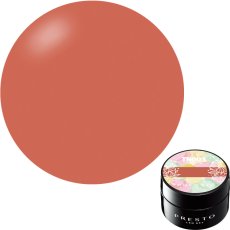 画像9: PRESTO アンリミテッドカラー TN001-TN006　2.7g［メール便OK］ (9)