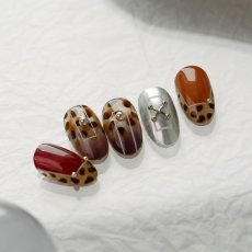 画像4: PRESTO アンリミテッドカラー KA012-KA017　2.7g［メール便OK］ (4)