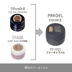 画像5:  PREGEL カラーZ  ファーキャラメル PZ-102I　3g［メール便OK］ (5)